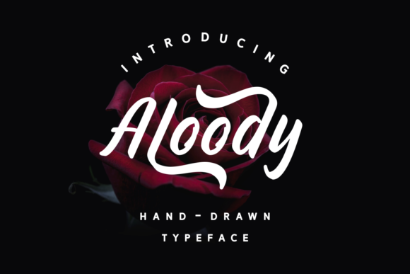 Aloody Font Review: A Bold Typeface for Web Hero Sections