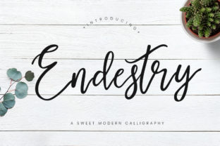 Endestry: A Modern Script Typeface for Editorial Design