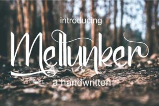 Mellunker Font Review: Elevating Web Design with Elegant Script